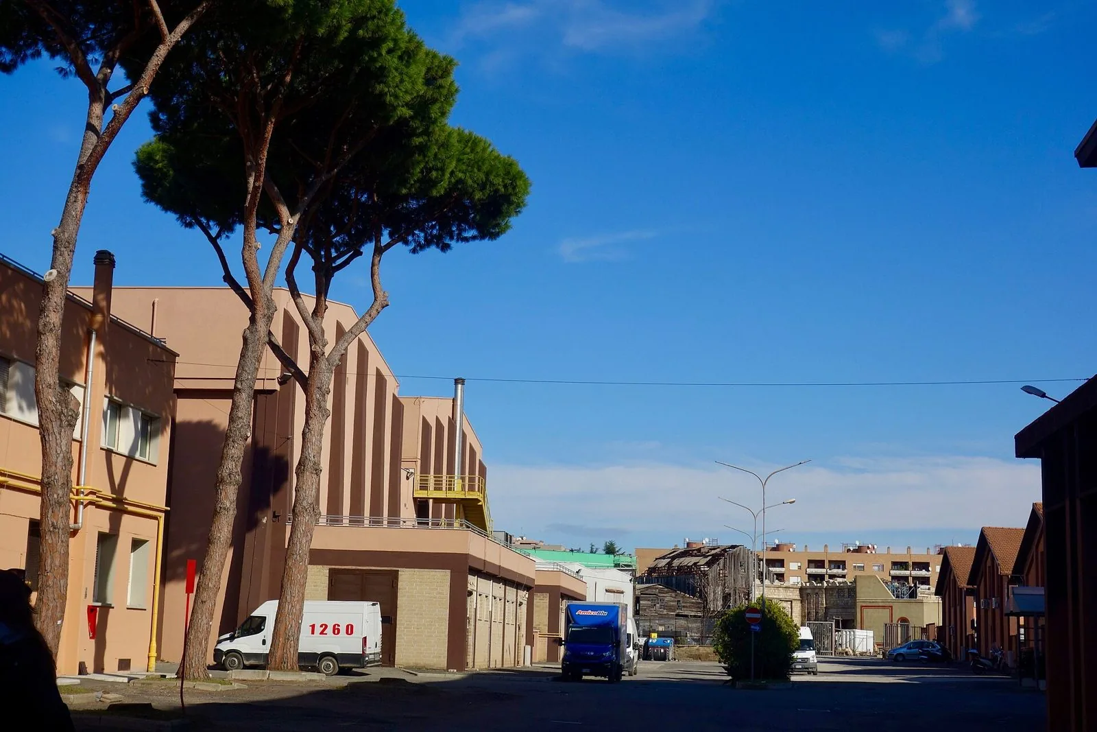 Viale interno degli studi di Cinecittà con pini domestici e i grandi teatri di posa